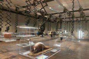 MTS Movietech Humboldt Berlin Museum Floating Vitrines 1200x800